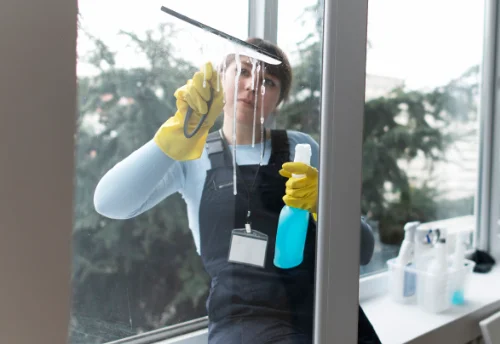 Nettoyage de vitres intérieures et extérieures à Cousolre